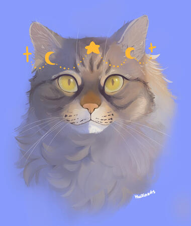 ✦Amity Print